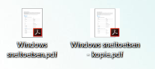 PDF on desktop.PNG